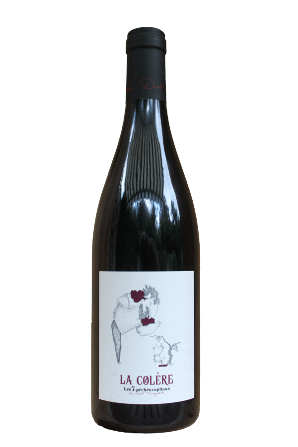 Domaine les Bruyères IGP Syrah rouge 2021 